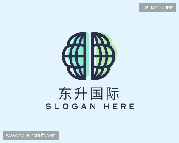 解读东升国际